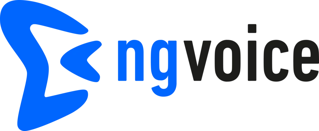 Logo of ng-voice with a stylized blue icon next to the text.